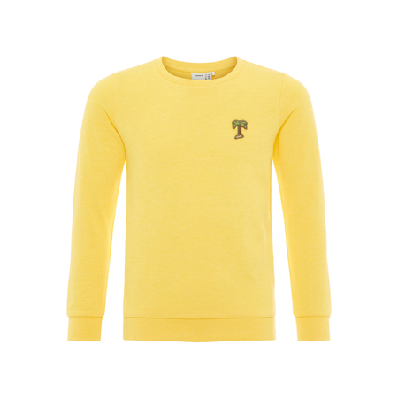 Name It girls pullover crew neck style in yellow 110