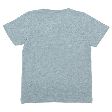 Name It boys short sleeve t-shirt with print in grey
