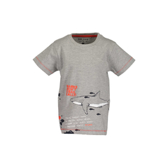 Blue Seven boys T-shirt in grey with shark print
