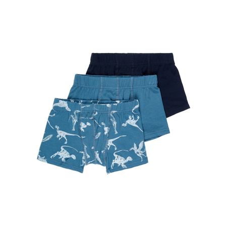 Name It boys underwear set in organic cotton Real Teal-86