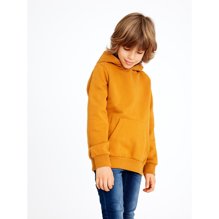 Name It Hoody for boys in organic cotton Thai Curry-116