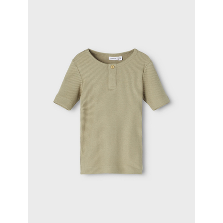 Name It T-Shirt fr kleine Jungen aus Bio-Baumwolle Silver Sage-110